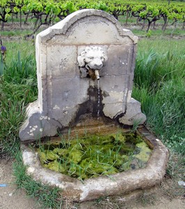 Visan