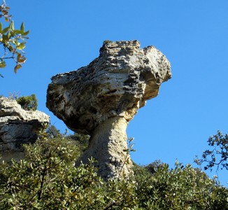 Monolyte
