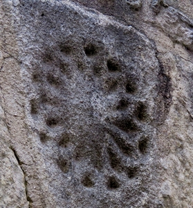 Malaucène
