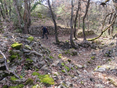 Malaucène